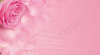 玫瑰酷我背景图,探寻浪漫与科技的完美融合